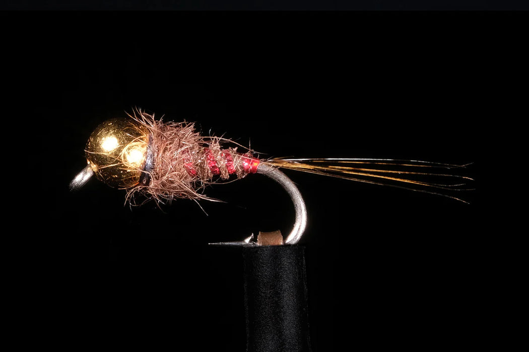 Yoshi's X-Factor Brown