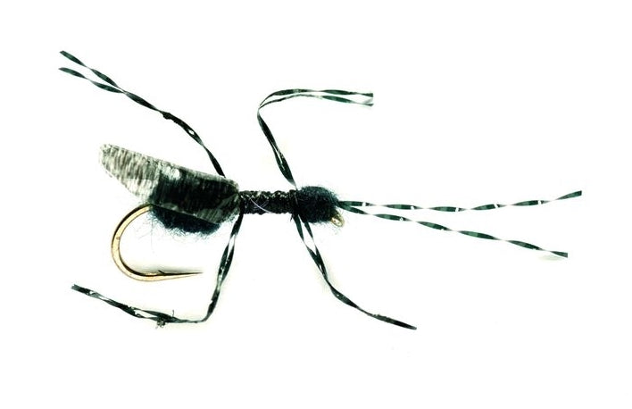 Bill's Black Flying Ant