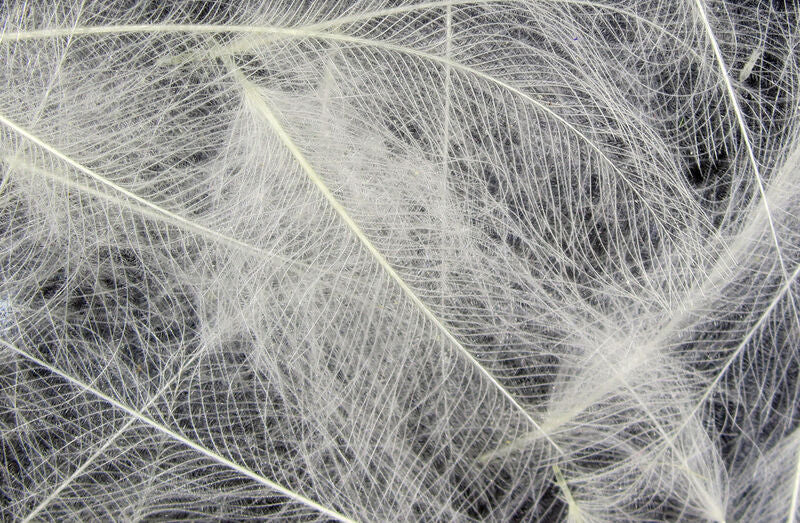 Hareline Cul De Canard Feathers (CDC) - The Flyfisher