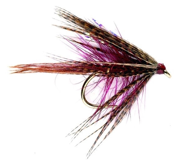 Claret Dabbler