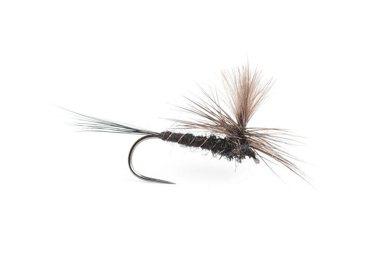Bassano Parachute Black Spinner
