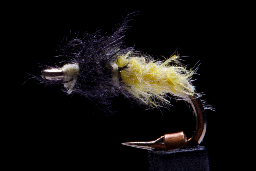 CDC Willow Grub