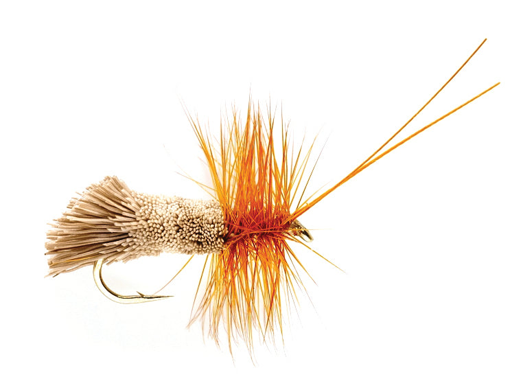 Goddards Caddis