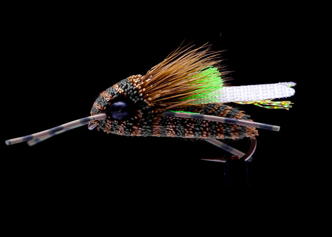 King Cicada