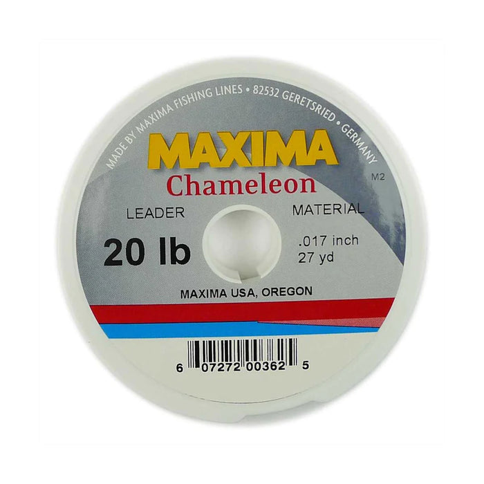 Maxima Chameleon