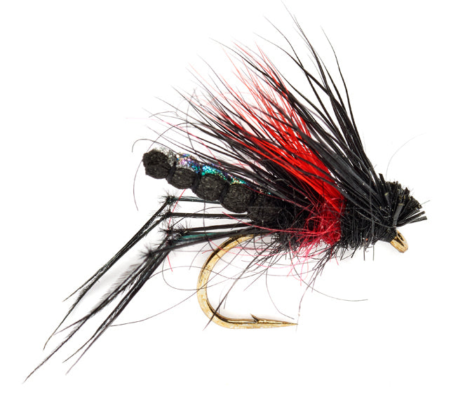 McPhail Detached Body Bibio