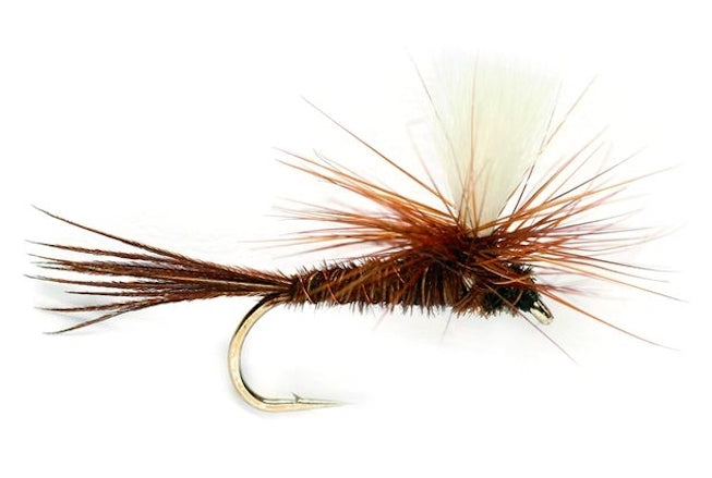 Parachute Phesant Tail