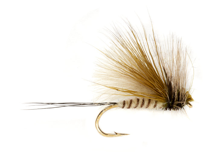 Procter's Active Mayfly Dun