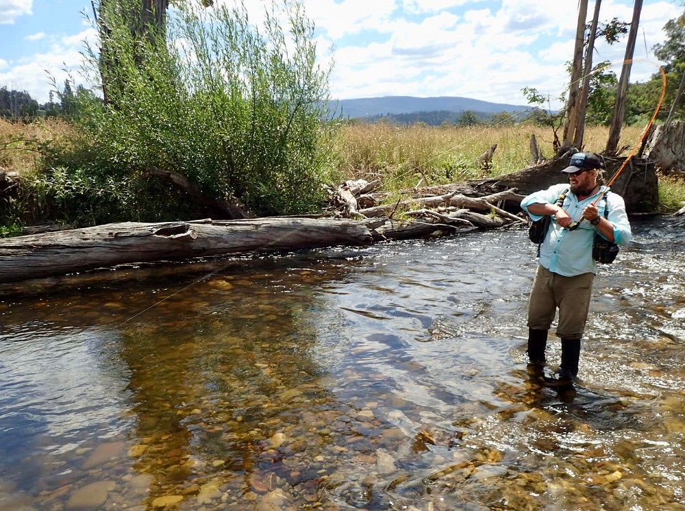 How to fly fish the Steavenson River