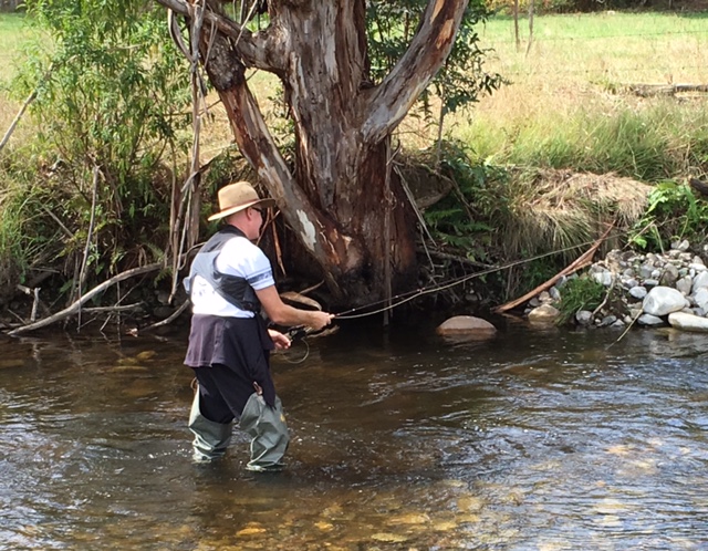 Beginners and Autumn Streams