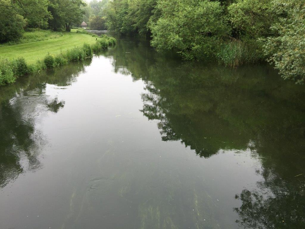 A day on the River Test
