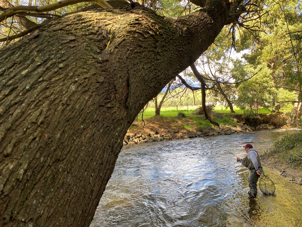 Early Season Goulburn & surrounds