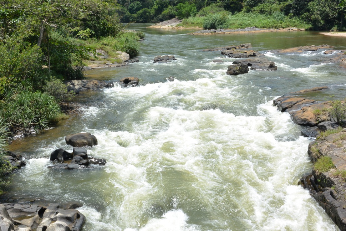 Looking for trout in Sri Lanka
