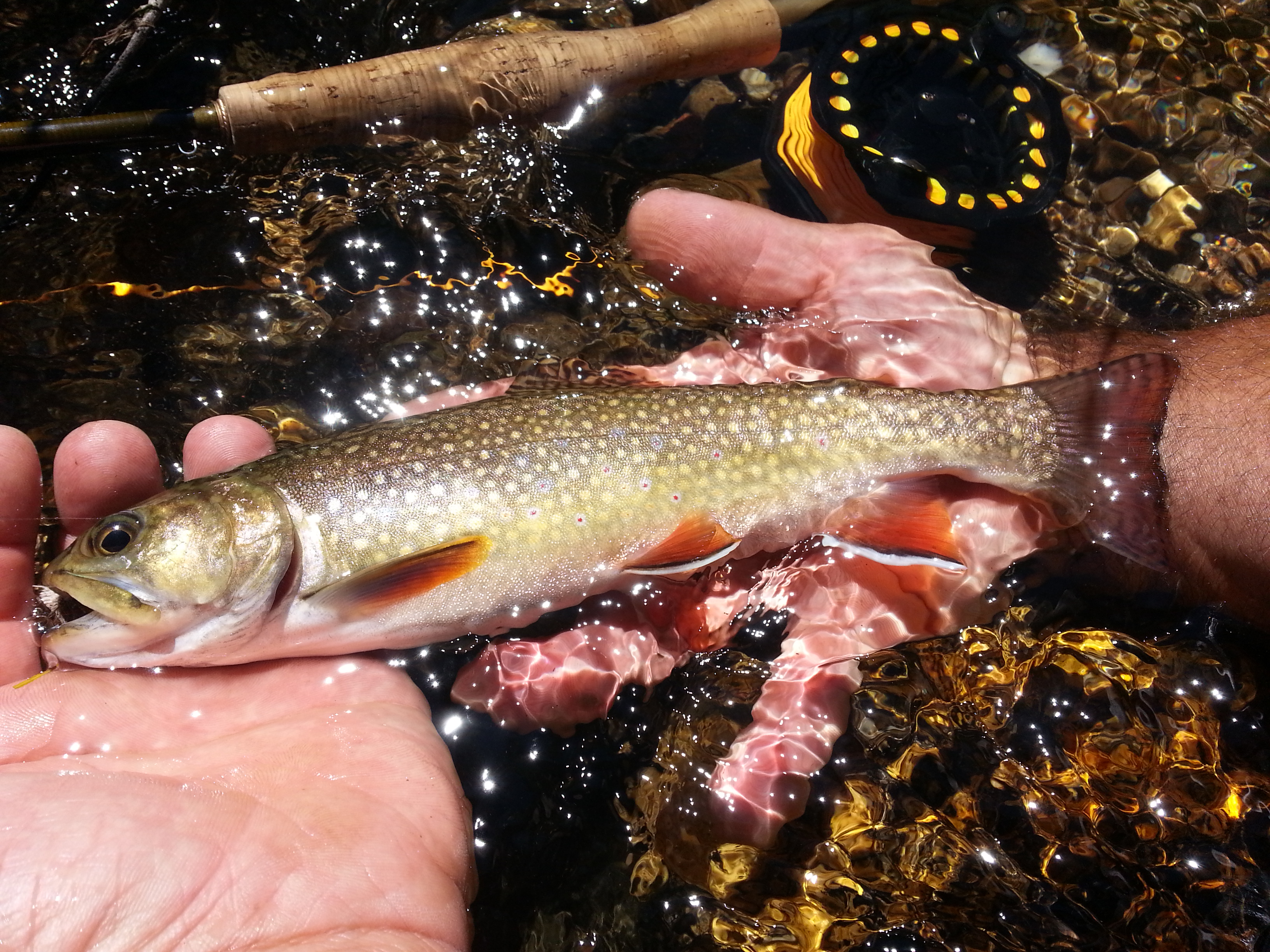 Hopper and Beetle Time, Snowy Streams PT 1