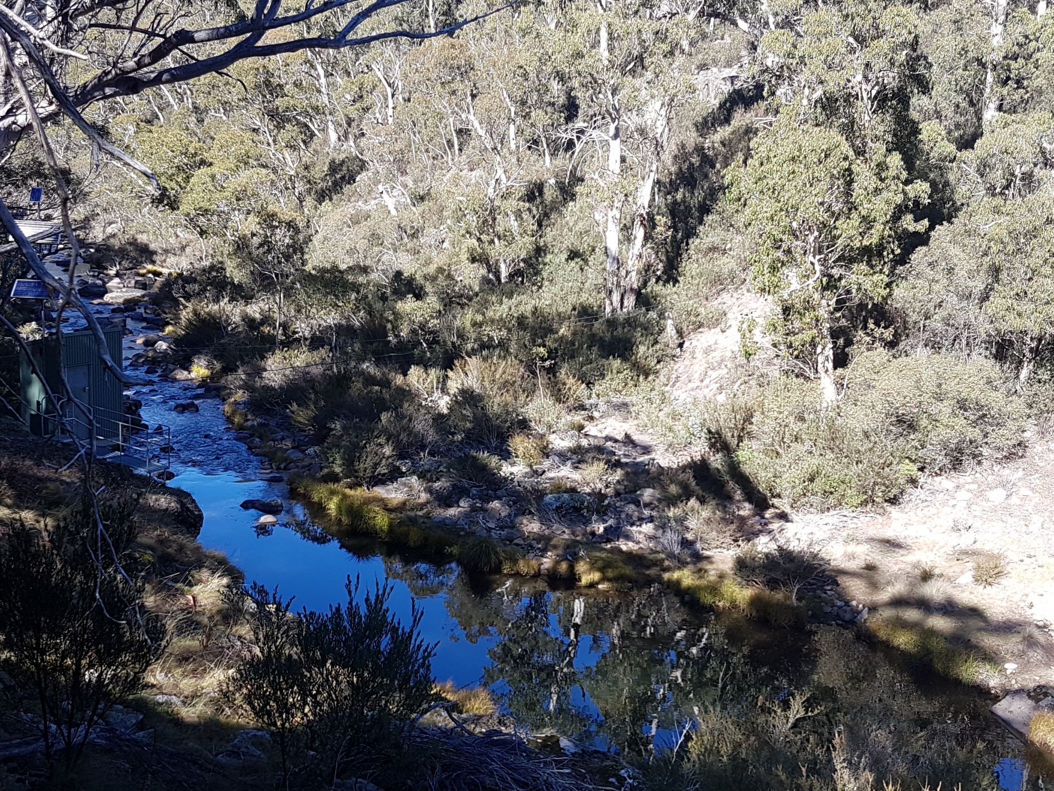 Eucumbene River Spawn Run