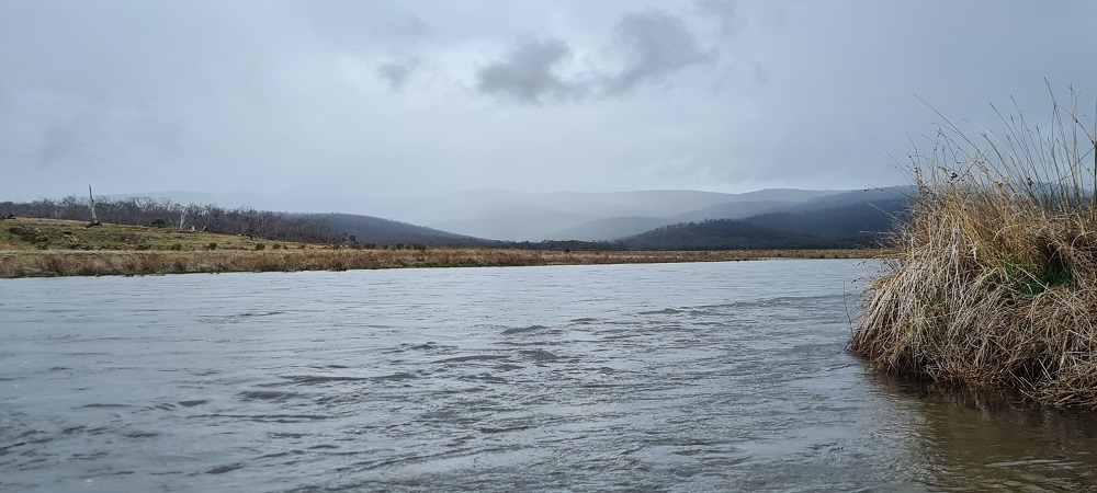 Snowy Mountains - river opening & lakes update