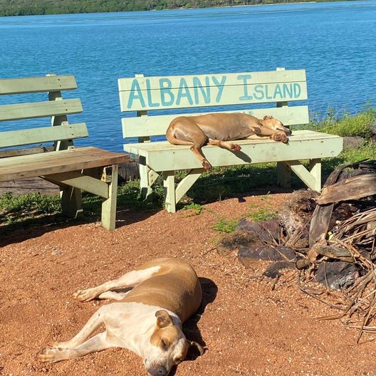 The Flyfisher's Podcast - Episode 4 - Albany Island Adventure (Cape York)