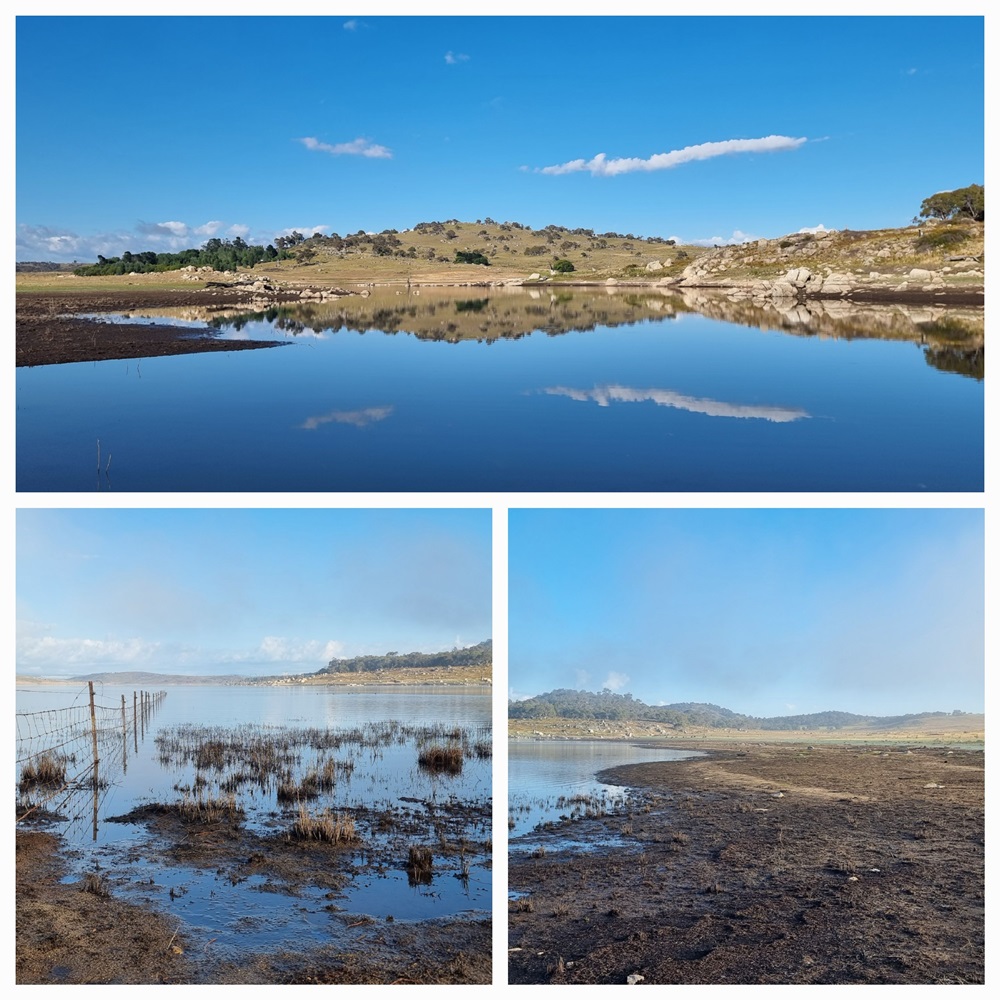 Snowy Lakes end of summer report