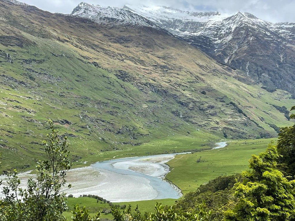 Fly Fishing the South Island of New Zealand: A Comprehensive DIY Guide