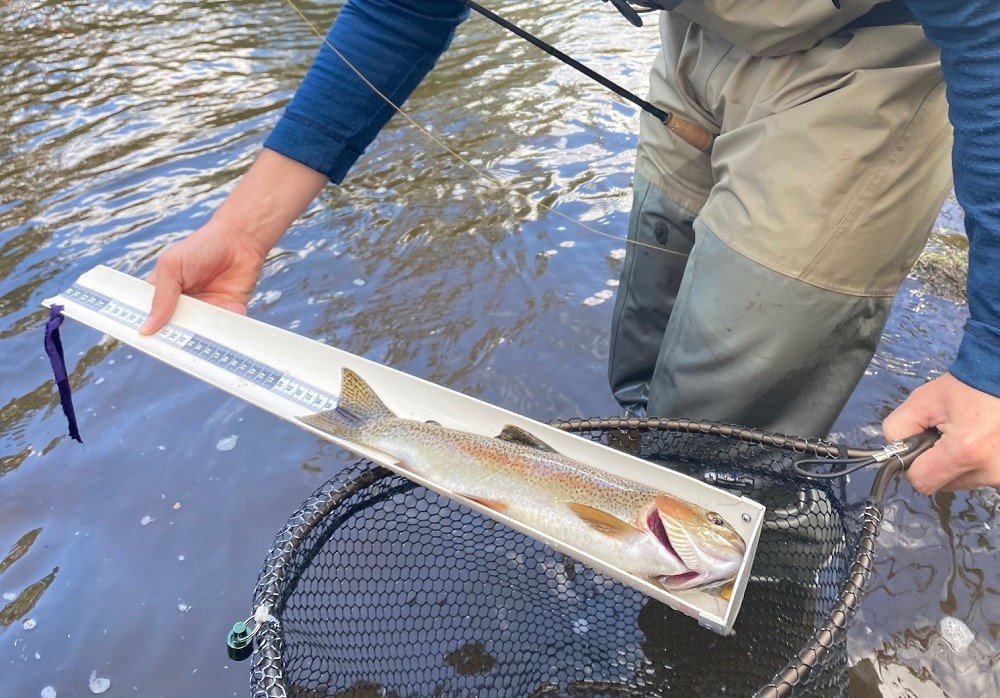 Competition fishing: a road to fishing better