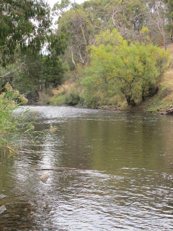 From Smelters to Stimulators