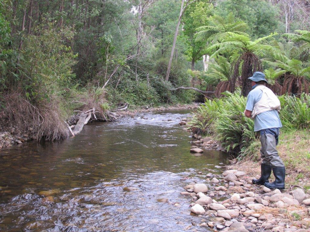 WILD TROUT CONFERENCE, Mansfield 21 November 2015 