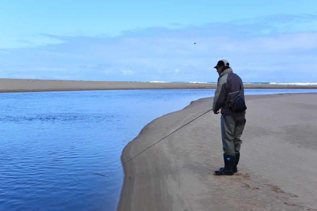 Winter Bream, South-west Victoria 