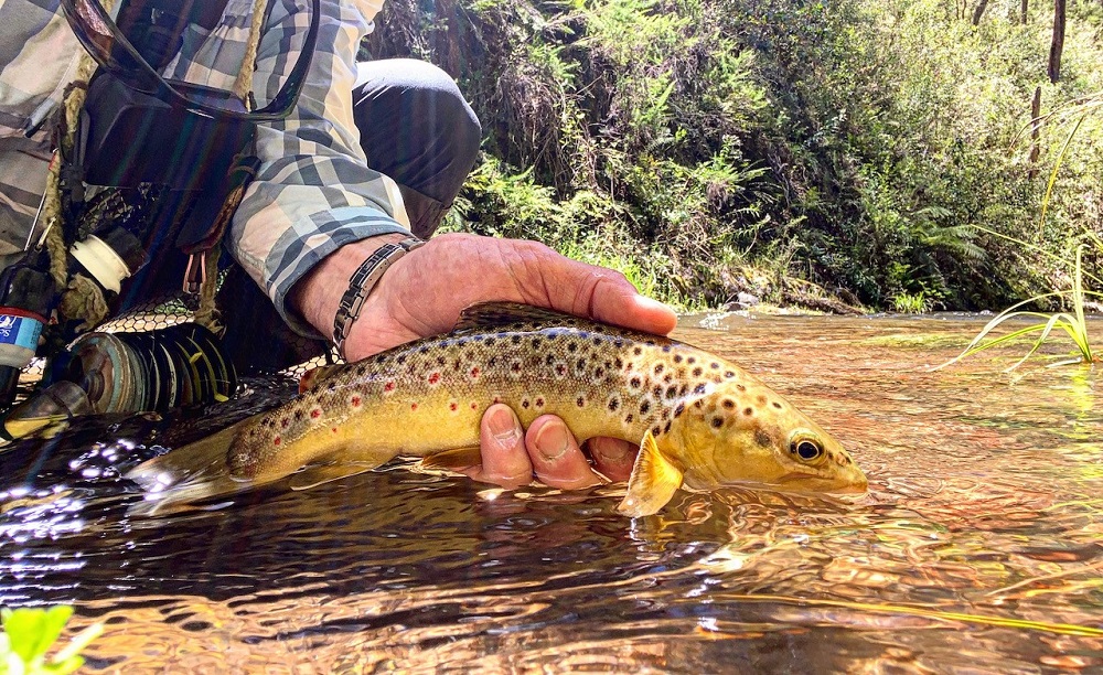 Greek philosophy and flyfishing