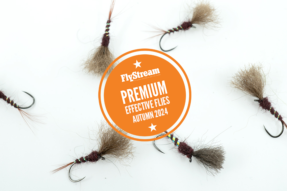 Effective Flies – the Nimbus 2000