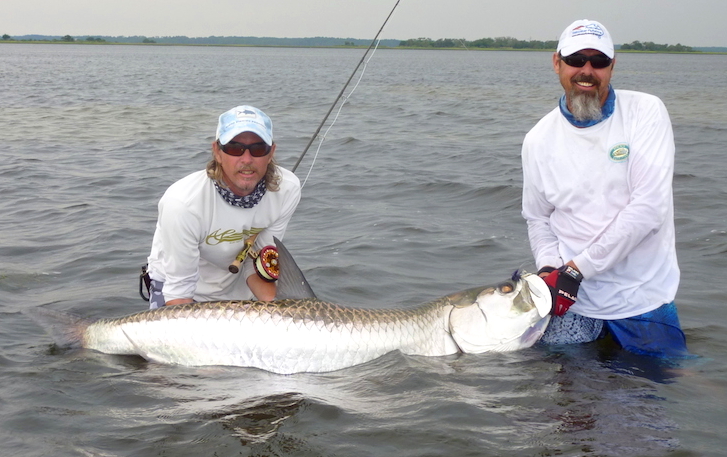 Florida Tarpon