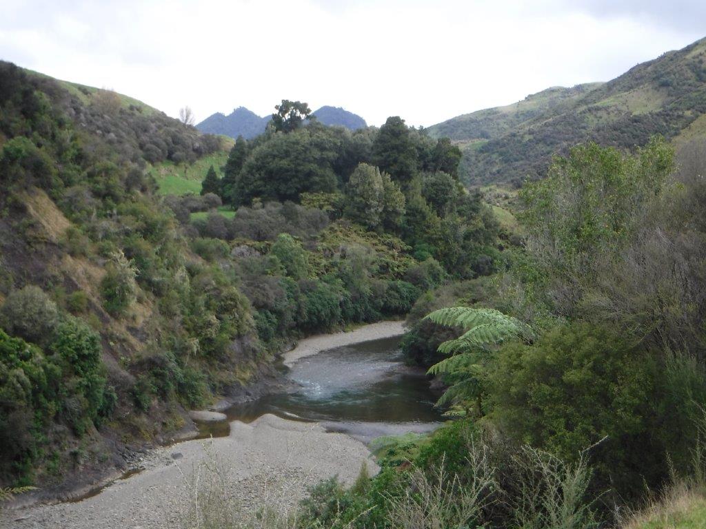 Late Autumn, North Island of New Zealand
