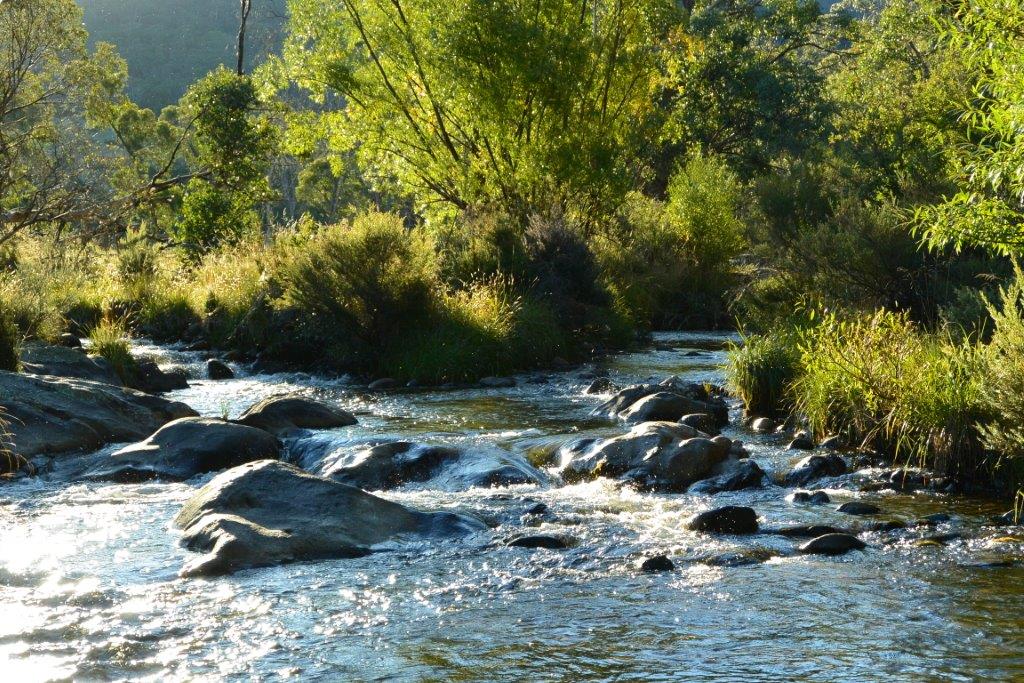 Late Summer, Mitta Catchment