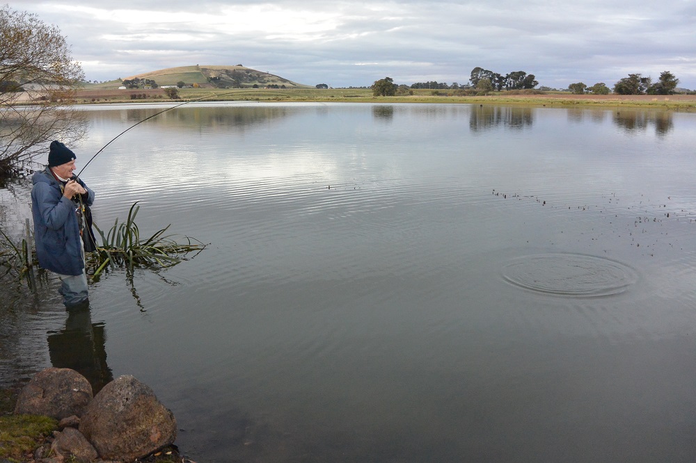 Central Highlands Smelters