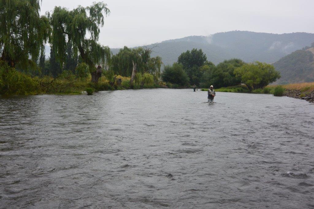 Hoppers and an ex-cyclone on the upper Murray