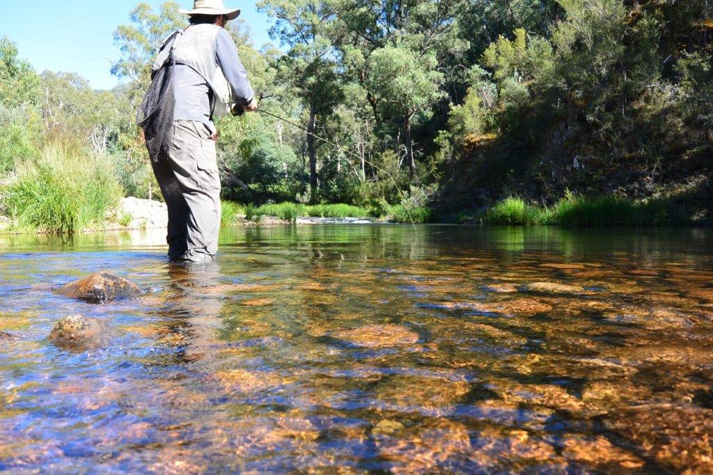 Early Autumn, King Valley