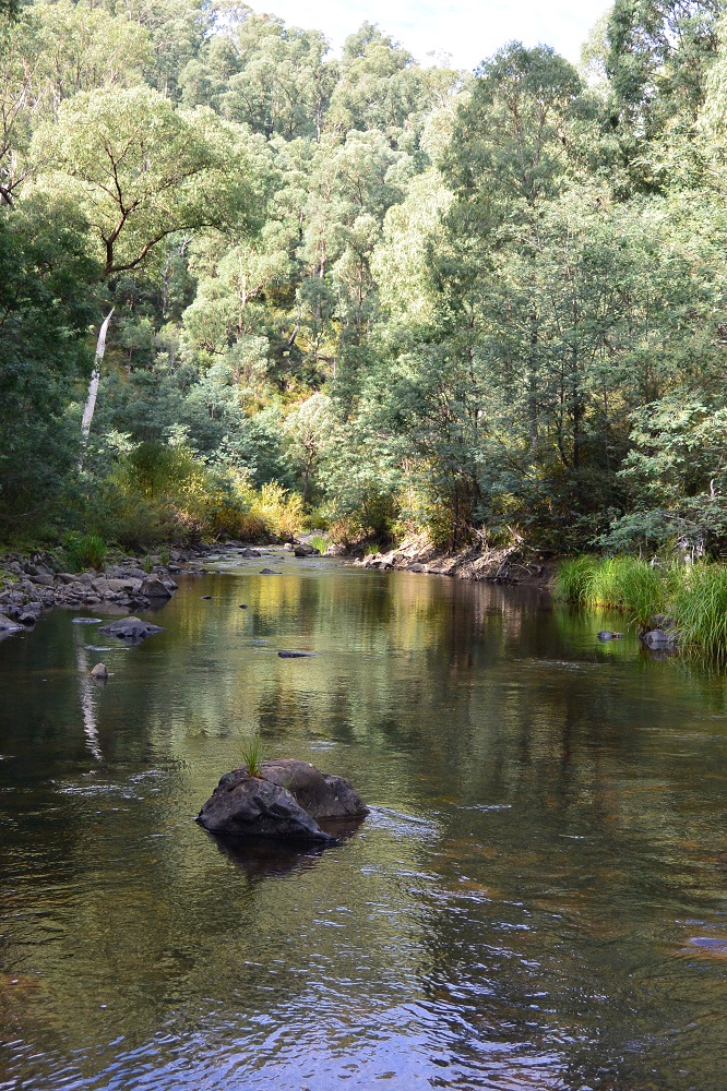 Talk Wild Trout 2017