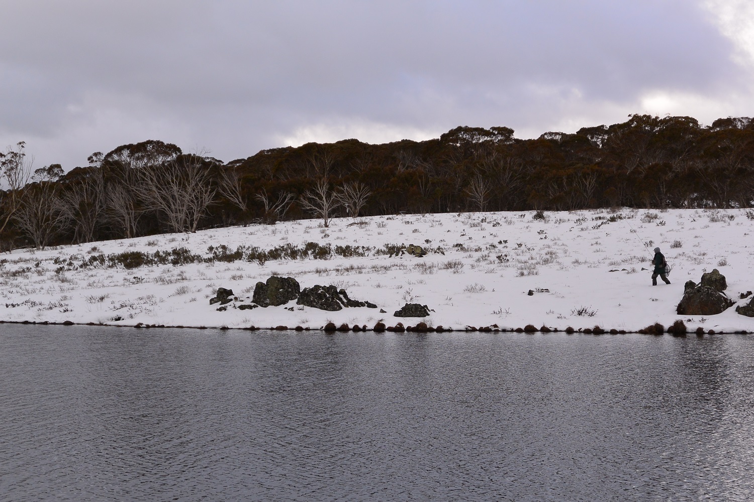 Snowy Snowy Mountains and Nungar Man