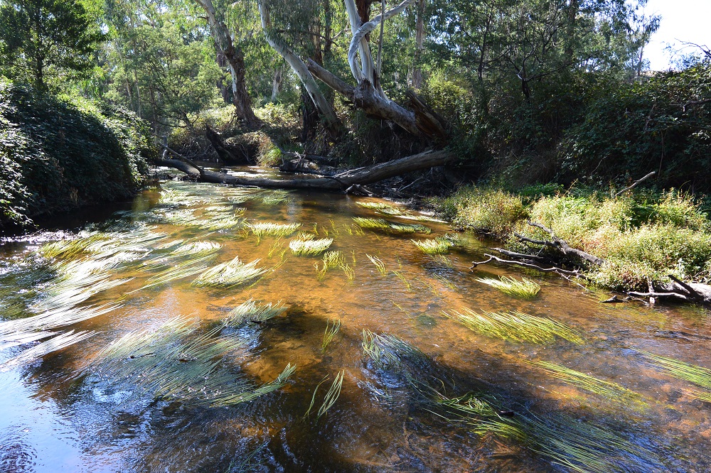 Autumn Wanderings in the Goulburn catchment