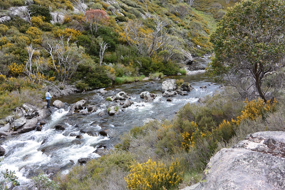 High and Low, upper Murray