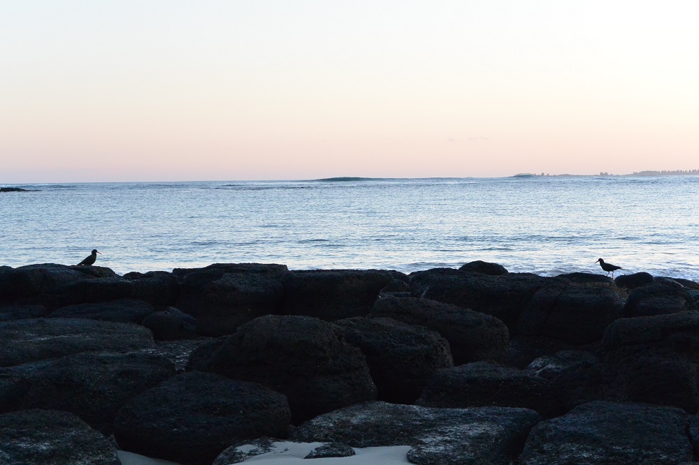 Lessons and Luck around Warrnambool