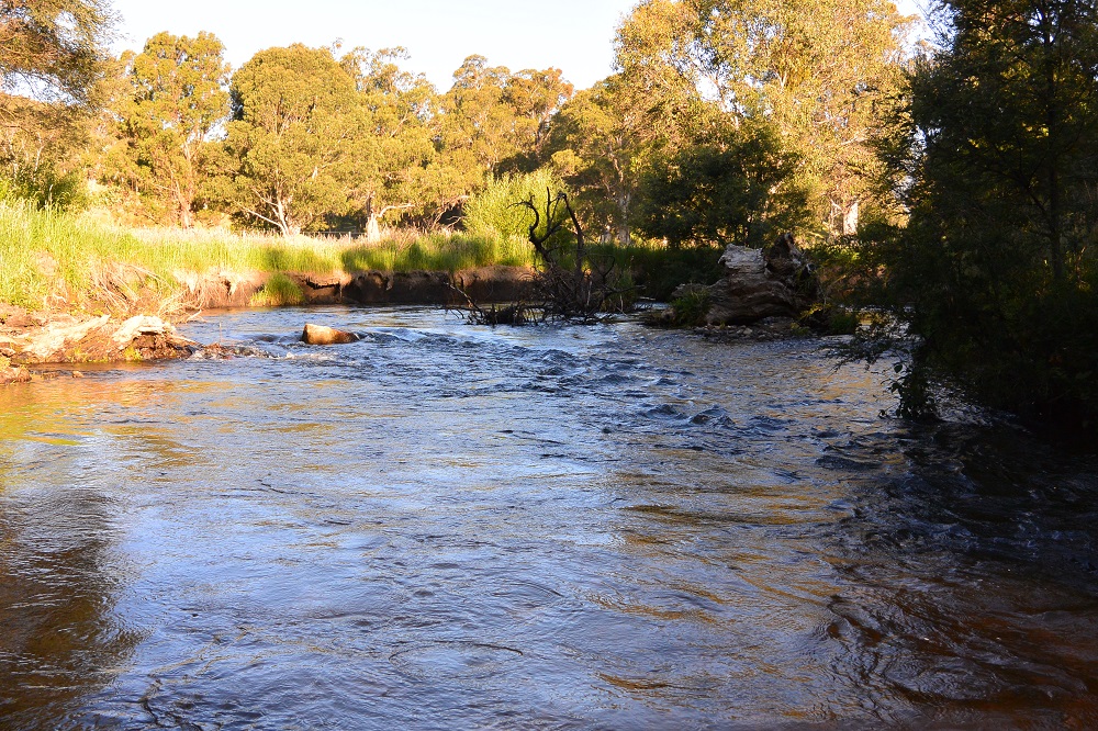 Warming Up on the Mountain Streams