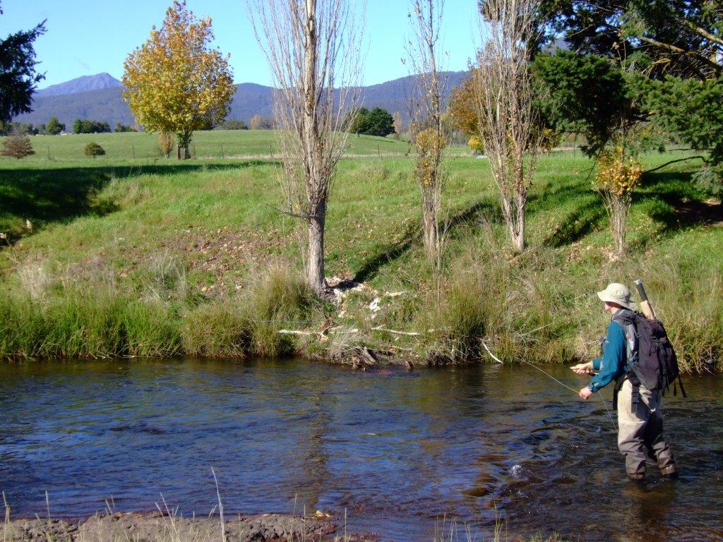 Research Program Great News for Eastern Vic wild trout fishery