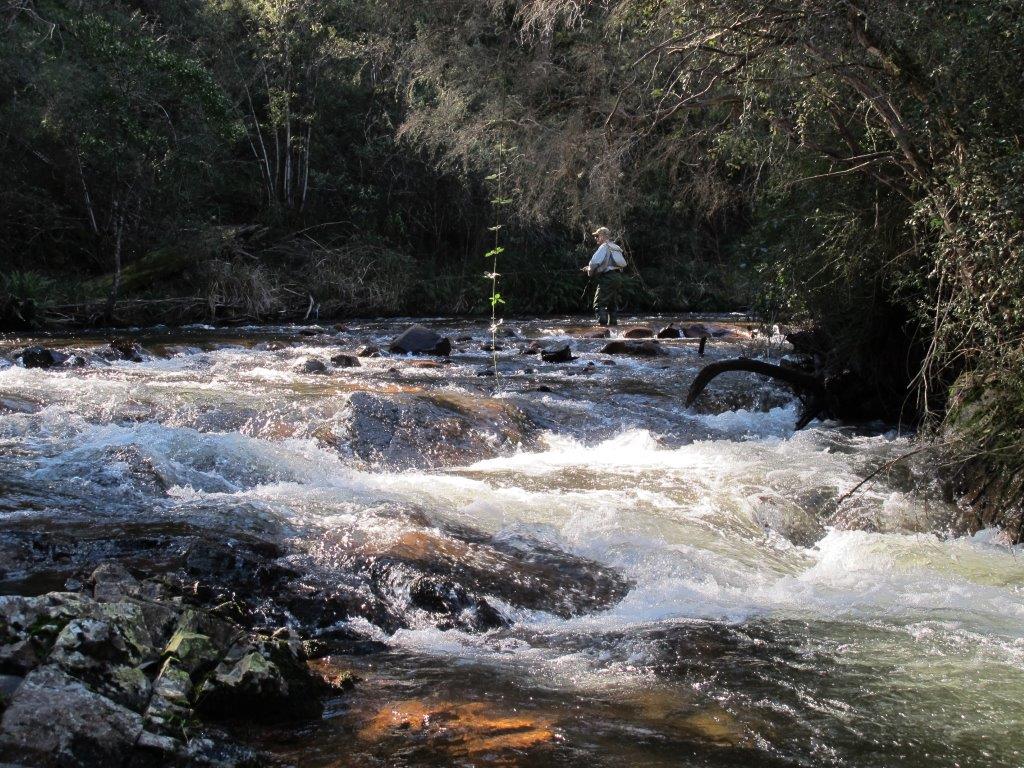 A taste of stream fishing in North-east Victoria