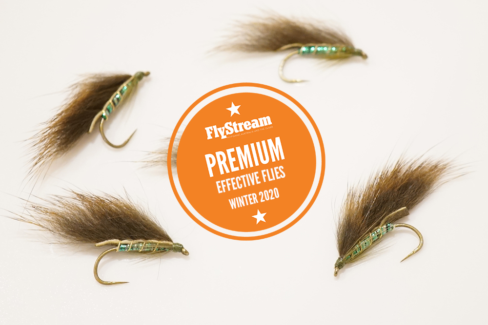Effective Flies – The Gambusia