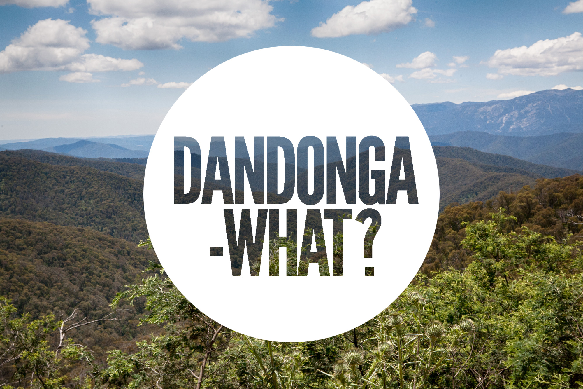 Dandonga-what?