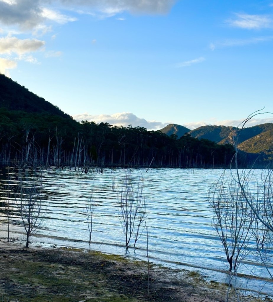 From Riches to Rags in the Grampians