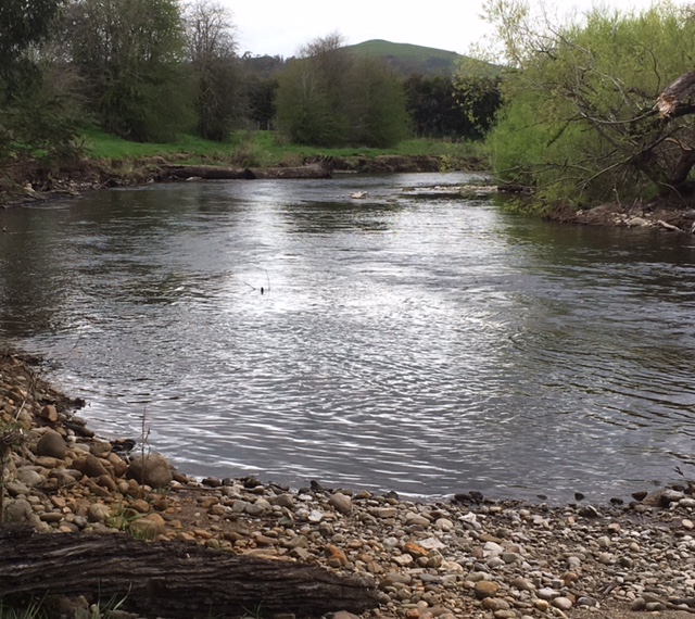 Early Spring, Tasmanian Streams