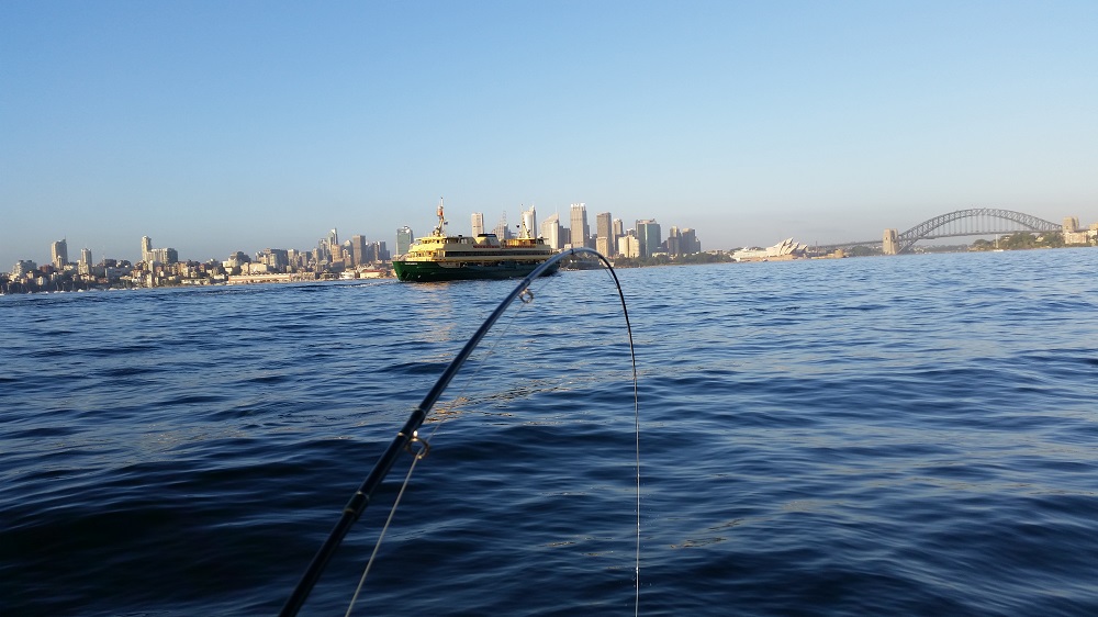 Summer on Sydney Harbour