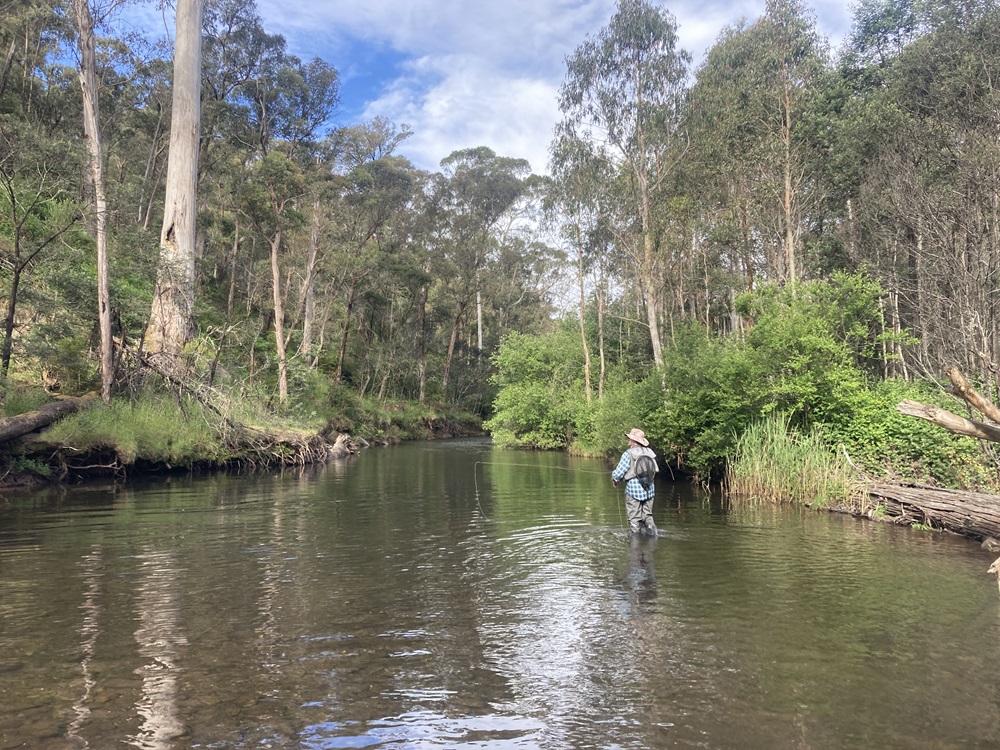 Trout stream supreme… and an unforgettable surprise
