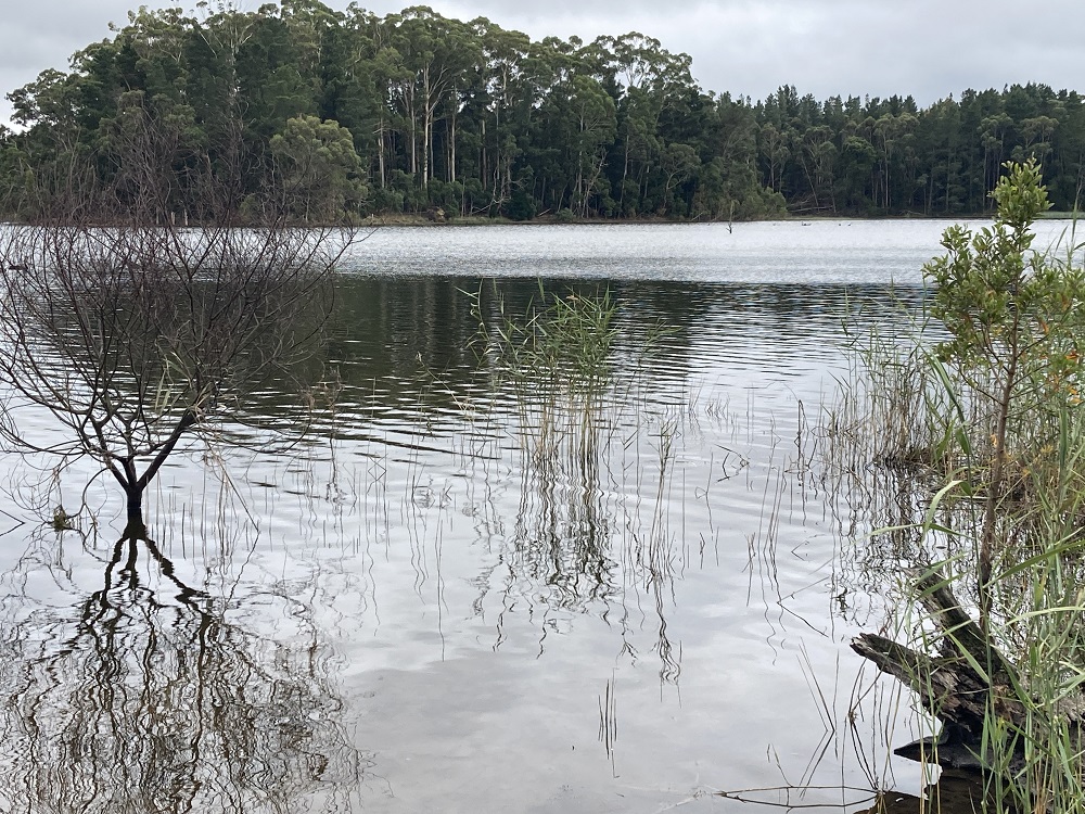 Central Vic Lakes – first autumn glimpse